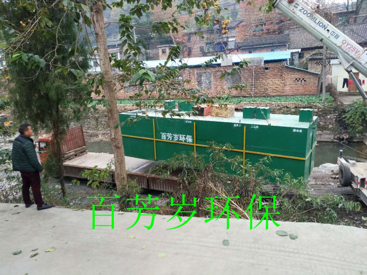 旺蒼縣陳家嶺200方每天生活污水處理項目