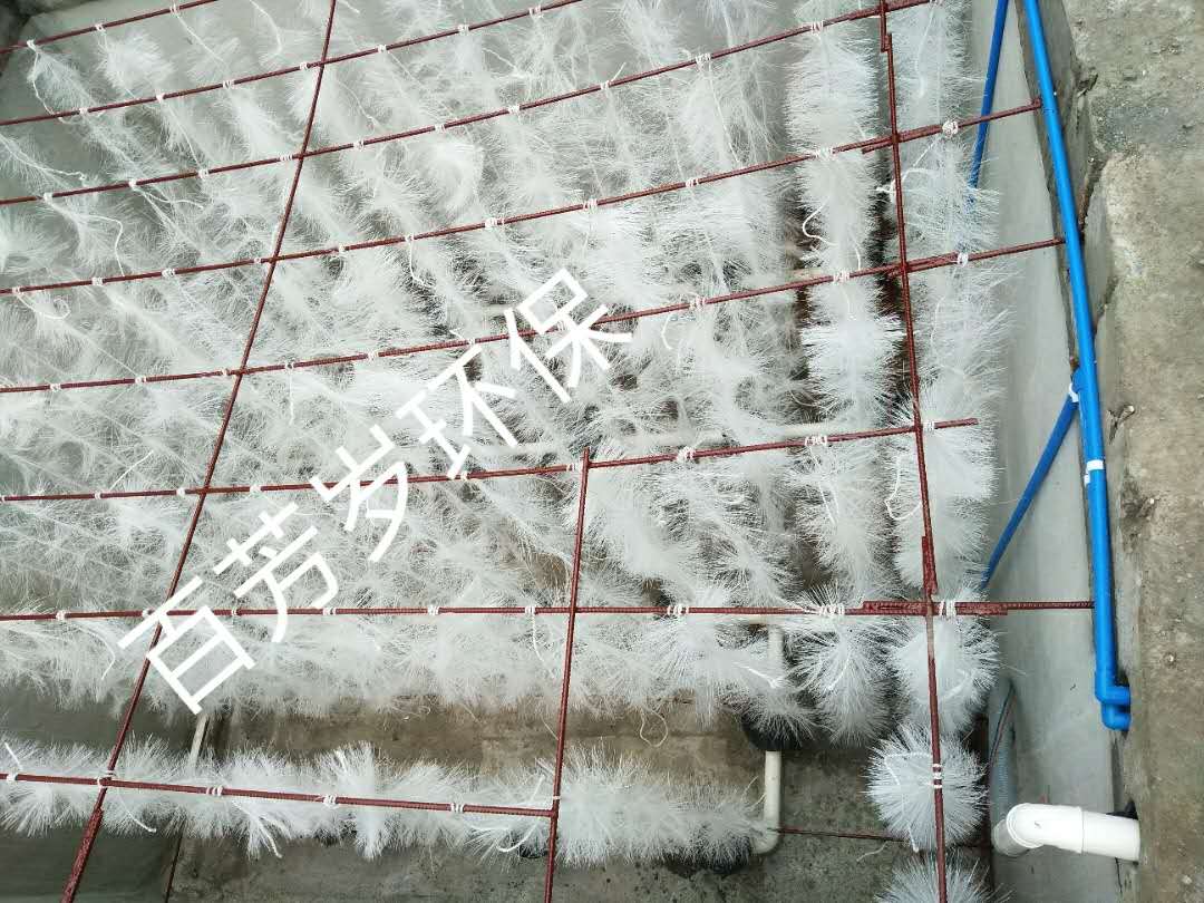 邛崍市鑫和產業園50方每天洗毛肚污水